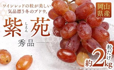  Gi  2kg  2025N10{甭b Ԃǂ Ԃǂ