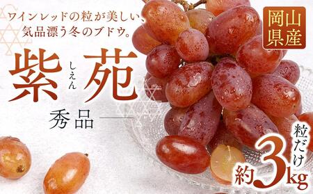  Gi  3kg   2025N10{甭b Ԃǂ Ԃǂ