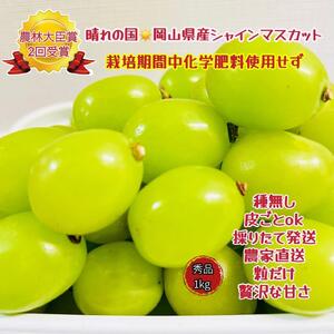 VC}XJbg Gi  1kg   2025N6{甭b  VC}XJbg