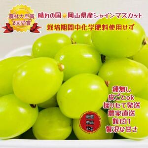 VC}XJbg I Gi  2kg  2025N7{甭b  VC}XJbg