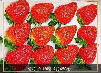 RsY  9`18 450g ϔ聃2025N12{ȍ~