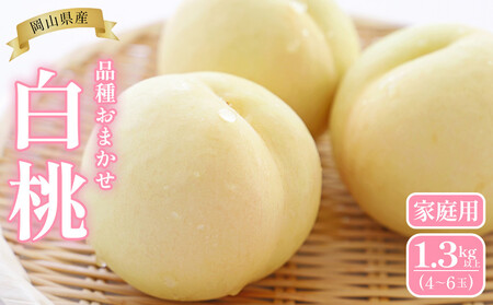 �� 2026�N  ���R���Y �ƒ�p ���� 1.3kg�ȏ�i4�`6�ʁj �i�킨�܂�����6�����{�ȍ~������