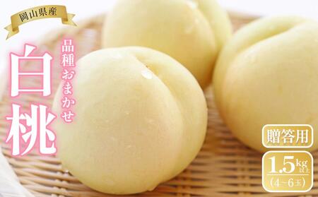 �� 2026�N  ���R���Y �����p ���� 1.5kg�ȏ�i4�`6�ʁj �i�킨�܂�����6�����{�ȍ~������