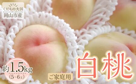 岡山市産 白桃 ご家庭用 約1.5kg 5~6玉 先行予約[2025年7月上旬〜8月下旬頃出荷]