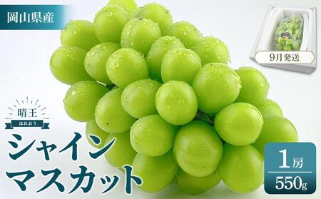 シャインマスカット 晴王 1房 約550g| シャインマスカット