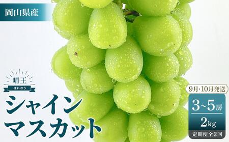 2025年 先行予約 受付中 シャインマスカット 晴王 約2kg(3〜5房) 2回 定期便 9月・10月に1回ずつ発送 [岡山県産 種無し 皮ごと食べる みずみずしい 甘い フレッシュ 9月〜10月発送 晴れの国 おかやま ぶどう 葡萄 マスカット 果物大国 彩美菜果 岡山県 岡山市 おすすめ 人気]