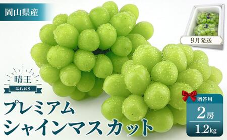 2025年予約受付中 プレミアム シャインマスカット 晴王 2房 約1.2kg 人気 岡山県産 赤秀品 種無し 皮ごと食べる みずみずしい 9月〜10月お届け フレッシュ 晴れの国 おかやま 果物大国 贈答品 彩美菜果 岡山県 岡山市 おすすめ 人気