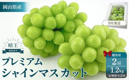 2025年予約受付中 プレミアム シャインマスカット 晴王 2房約1.2kg 2回 定期便 9月・10月に1回ずつお届け[シャインマスカット マスカット ぶどう 葡萄 岡山県産 赤秀品 種無し 皮ごと食べる みずみずしい 9月〜10月お届け フレッシュ 晴れの国かやま 果物大国 贈答品 彩美菜果 岡山県 岡山市 おすすめ 人気 ]