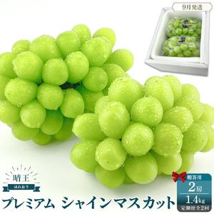 2026年予約受付中  プレミアム　シャインマスカット　晴王 2房約1.4kg　2回　定期便　9月・10月に1回ずつお届け【シャインマスカット マスカット ぶどう 葡萄 岡山県産 赤秀品  種無し 皮ごと食べる みずみずしい 9月～10月お届け フレッシュ　晴れの国おかやま 果物大国　贈答品 彩美菜果 岡山県 岡山市 おすすめ 人気 】