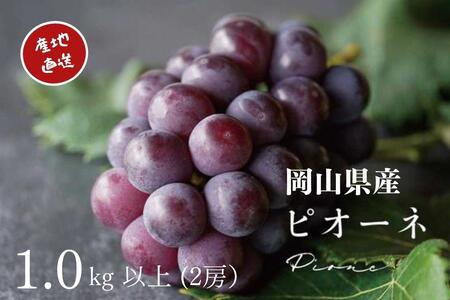 I j[sI[l 2[ v1.0kgȏ Yn ̂ Ԃǂ  Kawahara Green Farm RY 2026N