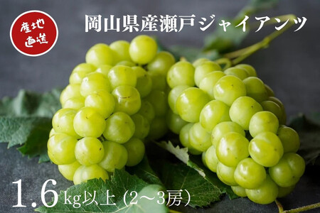 I ˃WCAc 2`3[ v1.6kgȏ Yn ̂ Ԃǂ  Kawahara Green Farm RY 2026N