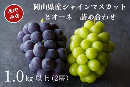 厳選 シャインマスカット・ニューピオーネ 2房 合計1.0kg以上 詰合せ 産地直送 朝採れ ぶどう 葡萄 Kawahara Green Farm 岡山県産 2025年