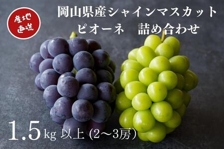 厳選 シャインマスカット・ニューピオーネ 2～3房 合計1.5kg以上 詰め合わせ　｜ ぶどう ぶどう