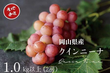 I NC[j[i 1.0kgȏ 2[ Yn ̂ Ԃǂ  KAWAHARA Green Farm RY 2026N