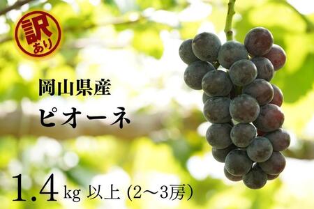 󂠂 j[sI[l@2`3[ v1.4kgȏ b Ԃǂ Ԃǂ