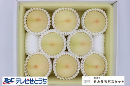 岡山白桃・晩生（ご家庭用）約２kg（６～９玉入り）【2026年発送】