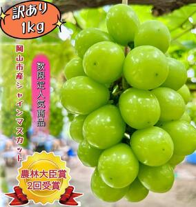 ぶどう 2025年 先行予約 訳あり シャインマスカット 約1kg  2025年7月中旬から発送 | フルーツ 果物 くだもの シャインマスカット マスカット 訳あり 岡山県産 国産 ギフト 贈答用 プレゼント 贈り物 シャインマスカット マスカット フルーツ 果物 くだもの シャインマスカット マスカット