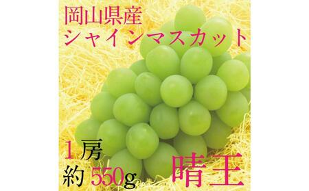 [HS]ぶどう 2025年 先行予約 9月・10月発送 シャイン マスカット 晴王 1房 約550g ブドウ 葡萄 岡山県産 国産 フルーツ 果物 ギフト