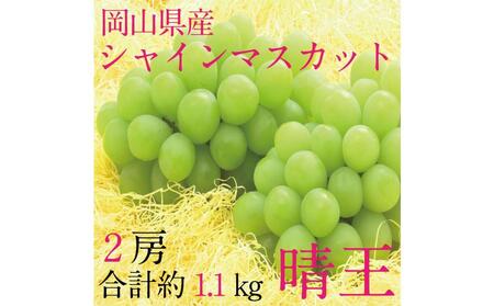 [HS]ぶどう 2025年 先行予約 9月・10月発送 シャイン マスカット 晴王 2房(合計約1.1kg) ブドウ 葡萄 岡山県産 国産 フルーツ 果物 ギフト