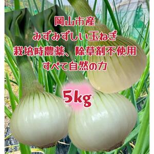 RsY ʂ˂5kg(TCY)͔|Ԓ_EܕsgpSĎR̗͌N