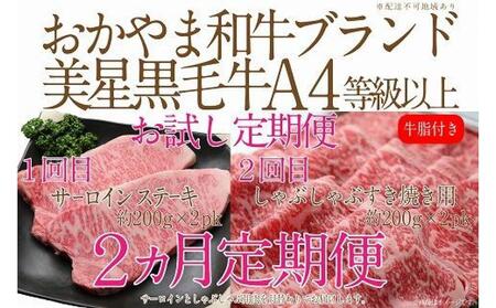 [定期便2か月] 岡山 黒毛和牛 美星牛 A4等級以上 牛脂付き お試し定期便 合計約800g(サーロイン約400gしゃぶしゃぶすき焼き用約400g)生産者直送便 美星牧場 定期便