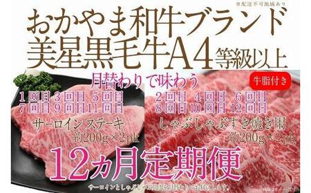 [定期便12か月]岡山 黒毛和牛 美星牛 A4等級以上 牛脂付き 12か月定期便 合計約4800g 生産者直送便 美星牧場 定期便