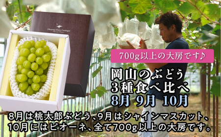 [定期便]岡山のぶどう 3種食べ比べ(8月・9月・10月)[2026年度発送]