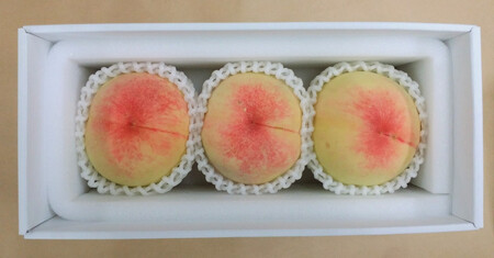 [2026年発送]とろける岡山の大玉白桃 3玉(約1.0kg)