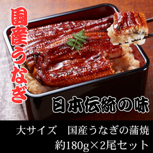 YȂā@TCY@180g×2Zbg