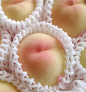 RsY  ƒp 3 2026N7{`8{oׁ