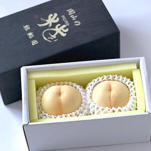  2026N   R  2   RY Y t[c ʕ Mtg 듍