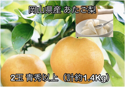 y2026NzRY 2 Gȏ (v1.4kg)ϔ