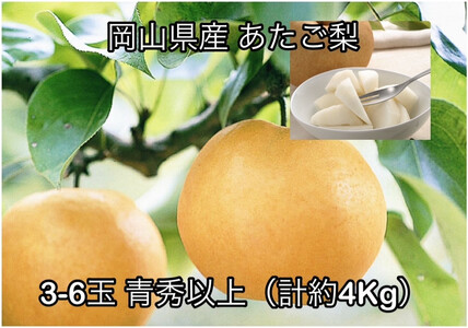 y2026NzRY  3`6 Gȏ (v4.0kg)ϔ