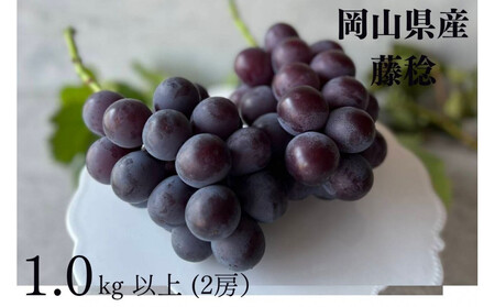 I  1.0kgȏ 2[ ̂ Ԃǂ   Kawahara Green Farm@RY@2026N