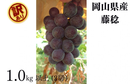 ƒp @1.0kgȏ 2[ ̂ Ԃǂ   Kawahara Green Farm@RY@2026N