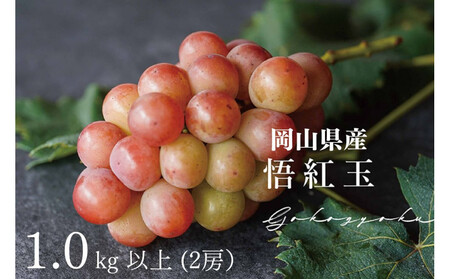 I@g Sr[ 1.0kgȏ 2[ ̂ Ԃǂ  Kawahara Green Farm@RY@2026N