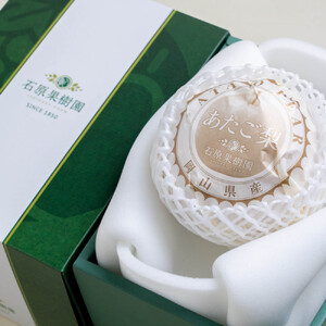 梨 2026年 あたご梨 1玉(約1.1kg) 贈答箱赤秀[ナシ なし 岡山県産 国産 フルーツ 果物 ギフト 石原果樹園]