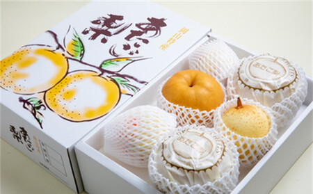 梨 2026年 家庭用 あたご梨(2〜3玉)・ヤーリ― (3〜7玉) 詰合せ計約4kg 箱青秀 [岡山県産 フルーツ ギフト 石原果樹園]