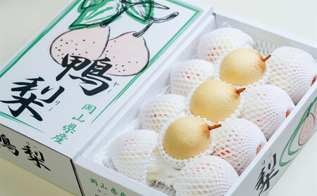 梨 2026年  家庭用  ヤーリ― （6～13玉）約4kg 箱青秀 【岡山県産 フルーツ ギフト 石原果樹園】