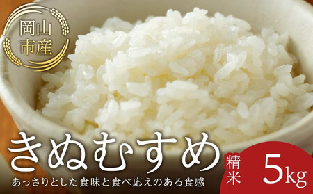 令和8年産 米 きぬむすめ 岡山市産 精米 ( 5kg × 1袋 )