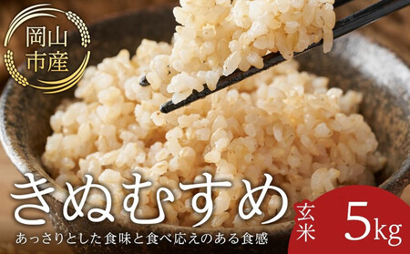 令和8年産 米 玄米 きぬむすめ 岡山市産 ( 5kg × 1袋 )