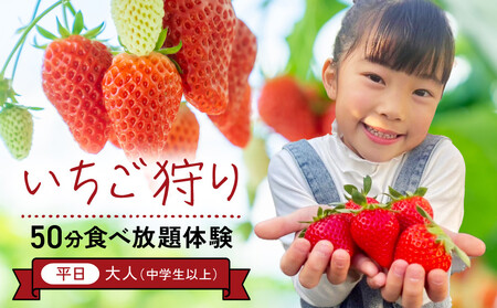 [いちご狩り]50分食べ放題体験 平日/大人(中学生以上)[いちご 苺 苺狩り フルーツ 果物 体験券 岡山市 岡山県 おすすめ 人気 食べ放題 岡山いちご狩り]