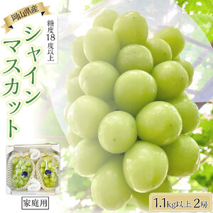 家庭用 2026年 糖度18度以上 岡山県産 シャインマスカット 550g以上 2房 1.1kg以上  ＜9月以降発送＞