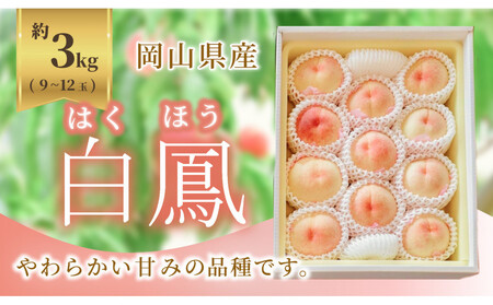 《2026年発送》岡山県産 桃 白鳳 約3kg 9～12玉