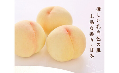 [定期便全3回]もも ぶどう 晴れの国岡山フルーツ定期便(7月・8月・9月お届け)岡田青果