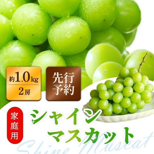 家庭用シャインマスカット 2房 合計1.0kg以上 ぶどう 葡萄 桃太郎御一行 岡山県産 2026年[8月中旬頃発送]