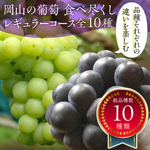 岡山のぶどう食べ尽くし レギュラーコース全10種(10回お届け)