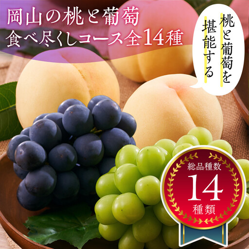 岡山の桃とぶどう 食べ尽くしコース全14種(14回お届け)
