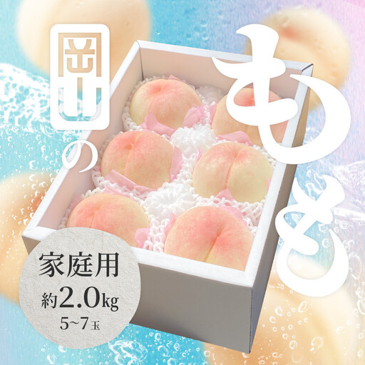 2026年 岡山県産 白桃 家庭用 約2kg（5〜7玉）