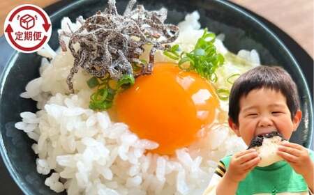 �y6�����ցz�y�ߘa7�N�Y�z ���� �q�m�q�J�� 10Kg�y2026�N7����{�����������\��z�y���� �� ������ ���� �R�� ���� �q�m�q�J�� ���Y�i ���Y ���R���q�~�s�Y ���R�� �q�~�s �l�C �������߁z